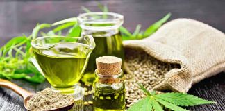 How to Buy Cannabis Seeds in Bulk Cannabis Seed