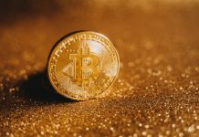 Evolution Of Online Crypto Gambling Cryptocurrency coin