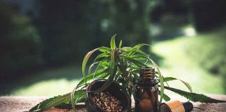 Marijuana