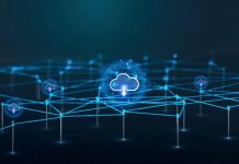 What You Should Know About Web 3 Web