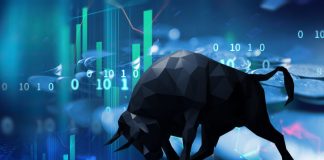 crypto crash