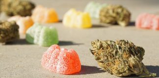 All Your Questions About CBD Edibles, Answered elsa-olofsson-NgoMswTX-aU-unsplash