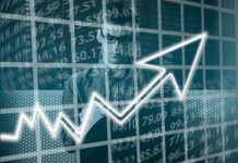 5 Things Every Entrepreneur Should Focus On in Their Business entrepreneurship