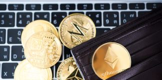 Which Crypto Coin is The Next Bitcoin? bitcoin