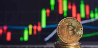 cryptocurrency holdings