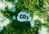 Carbon Footprint Meaning, Calculation, Reduction and Reporting CO2