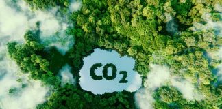 Carbon Footprint Meaning, Calculation, Reduction and Reporting CO2