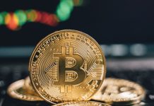 Latest Trends of Bitcoin Trading in New Hampshire Bitcoin Trade