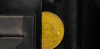 In-Depth Details of the Hardware Wallet! Bitcoin Wallet