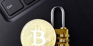Bitcoin Wallet With Different Types And Specifications Bitcoin wallet specification