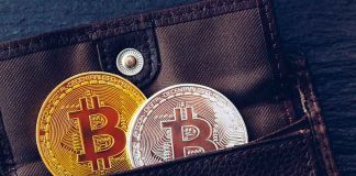 Feature to Find in a Perfect Digital Wallet? Crypto Digital Wallet