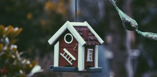 Real-Estate