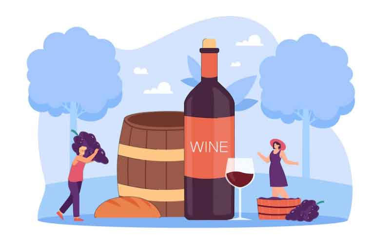 Starting a winery outlet business