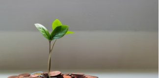 What to Consider When Diversifying Your Portfolio diversying your portfolio