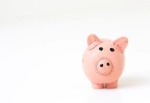 Everything You Need to Know About 401(k)s everything you know about