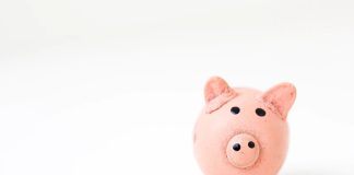 Everything You Need to Know About 401(k)s everything you know about