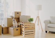 Saving Money On Your Relocation: 4 Tips Relocation