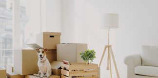 Saving Money On Your Relocation: 4 Tips Relocation