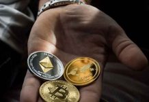Five of the Most Profitable Altcoins to Trade Invest in Right Now Altcoins