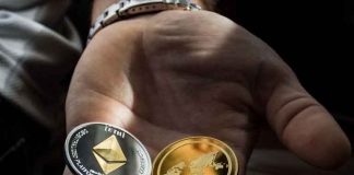 Five of the Most Profitable Altcoins to Trade Invest in Right Now Altcoins