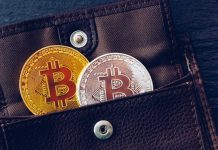 What is Metamask Wallet? Is it a Safe Method for Securing Your Crypto? Digital-Wallet---Cryptocurrency