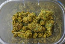 Hemp-