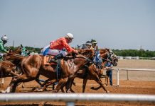 How to Prepare For Your First Horse Racing Trip