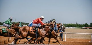 How to Prepare For Your First Horse Racing Trip