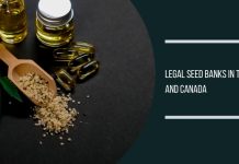 Legal Seed Banks in the USA and Canada