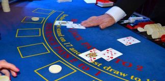 Newbie gambler