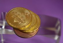 The Key Factors to Understand Before Buying Cryptocurrencies The Key Factors to Understand Before Buying Cryptocurrencies