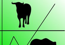 Analysing the Bull and Bear Markets in Cryptocurrency Trading Analysing the Bull and Bear Markets in Cryptocurrency Trading