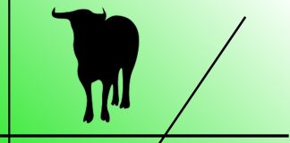 Analysing the Bull and Bear Markets in Cryptocurrency Trading