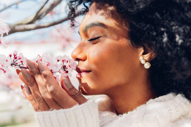 serie de novias por correo de Joan Johnston