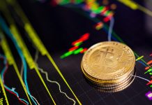 Bear Market: Best Cryptocurrencies to Invest in 2022 cryptocurrency