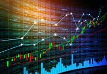 Key Differences Between Forex Trading Accounts Forex Trading