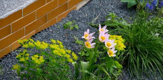 4 Ways to Improve the Curb Appeal of Your Business Curb-appeal