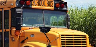 School-Bus