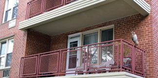 Proptech Security Trends