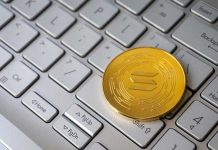 Diving Deep into Crypto: Altcoins Altcoin