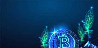 What is a Bitcoin Blender? Bitcoin-Mixer