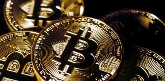 In 2023, What are the Top Cryptocurrencies for Investing in? Top Cryptocurrencies