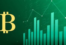 bitcoin profit
