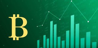 How Do Bitcoin Traders Maximize Their Profits? bitcoin profit