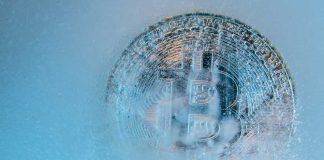 winter crypto