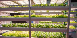 3 Reasons Why You Need a Humidity Pack in Your Grow Room grow room