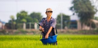 agriculture