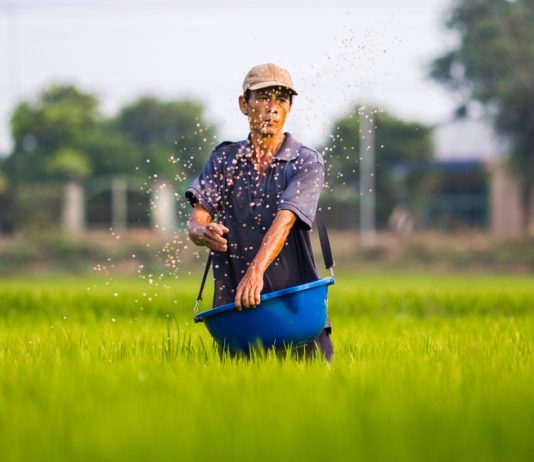 agriculture