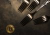 Crypto Hard Fork and Soft Fork