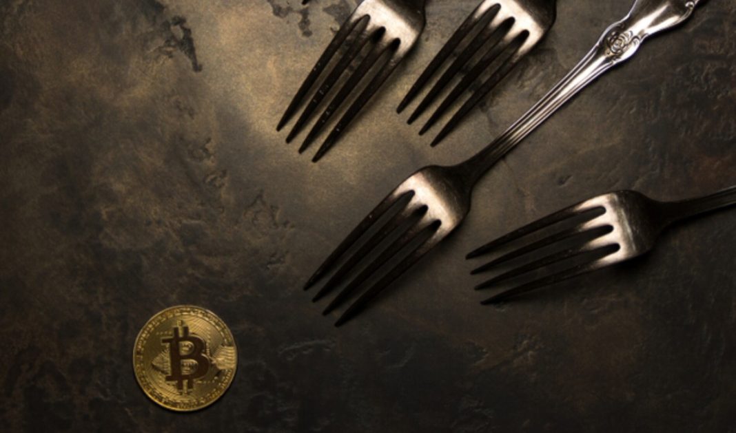 What Is the Distinction Among Crypto Hard Fork and Soft Fork? The